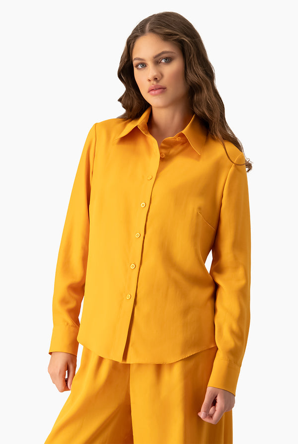 Blusa camisera lisa manga larga