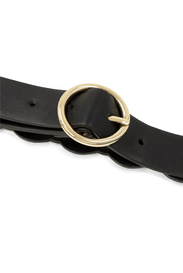 Cinturón Golden Black