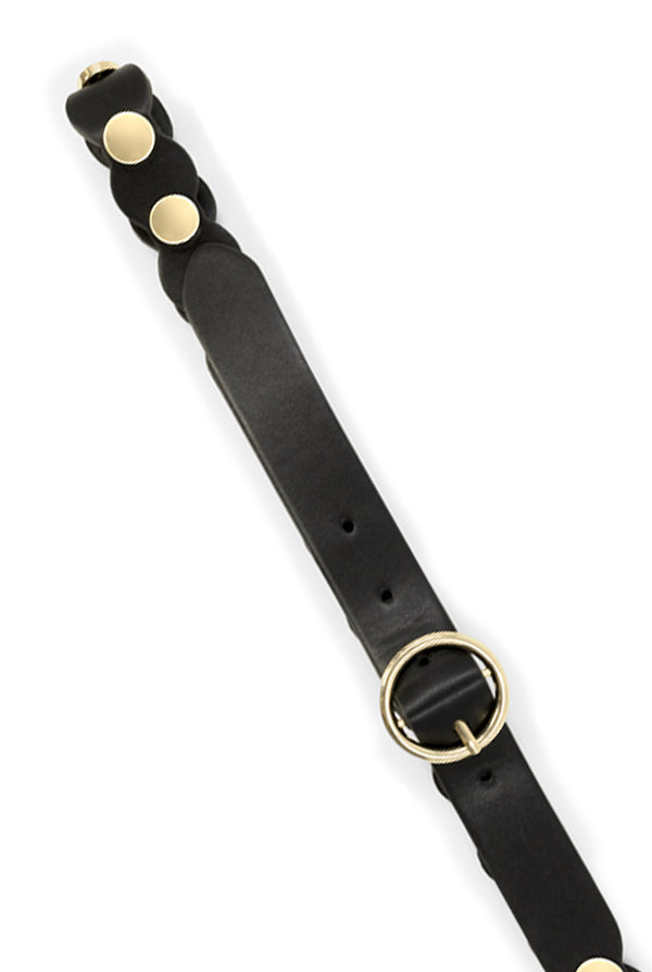 Cinturón Golden Black