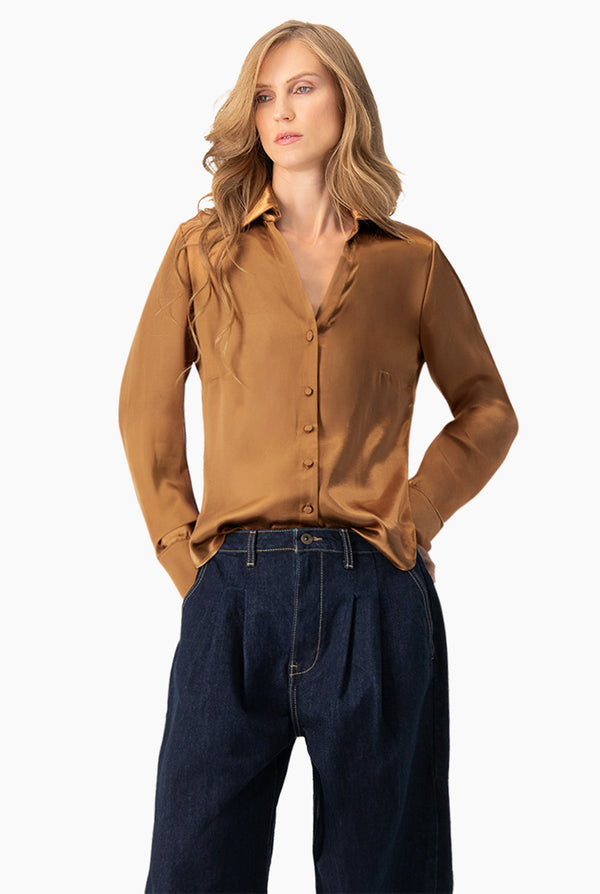 Blusa satinada manga larga