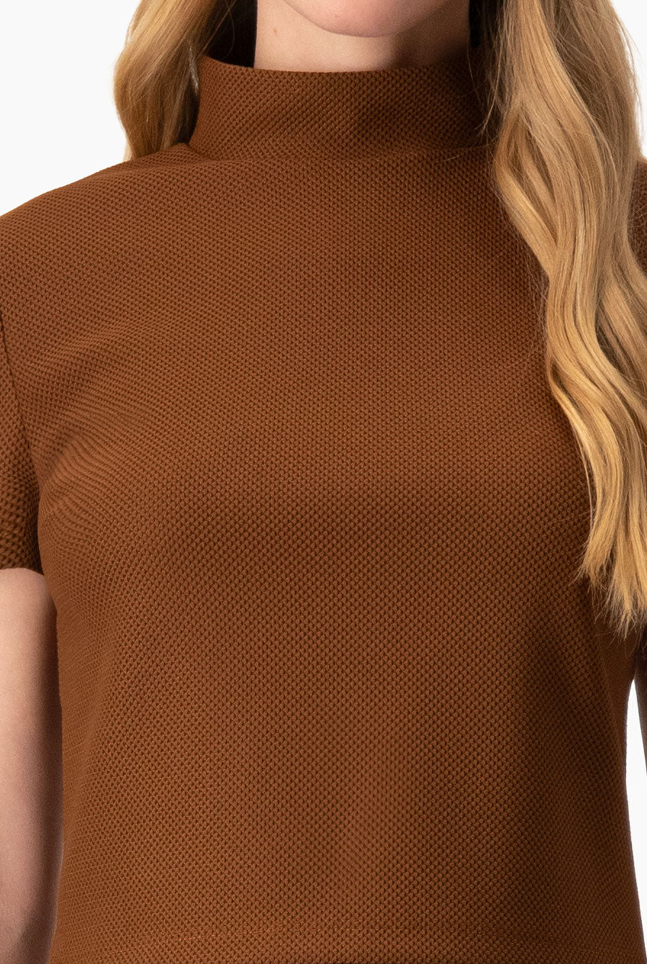 Top Ivonne corto café claro con cuello alto y mangas cortas